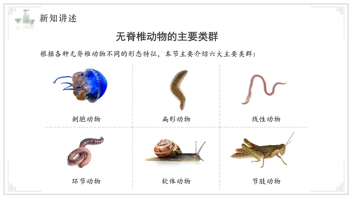 苏教版生物(2024)七年级上册 2.4.1 无脊椎动物 课件 (2)第5页