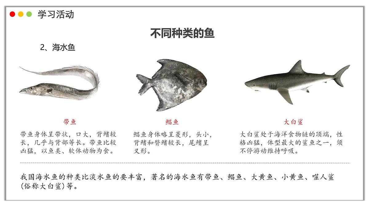 苏教版生物(2024)七年级上册 2.4.2 脊椎动物 课件第6页