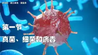 初中生物真菌、细菌和病毒图片ppt课件
