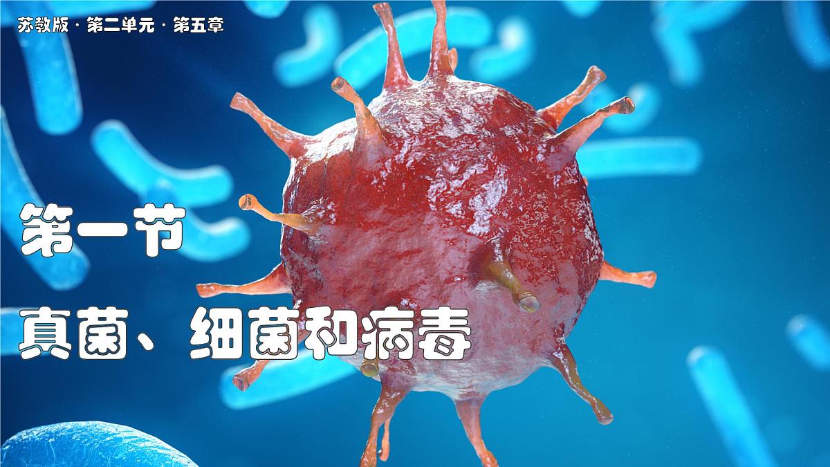 苏教版生物(2024)七年级上册 2.5.1 真菌、细菌和病毒 课件第1页