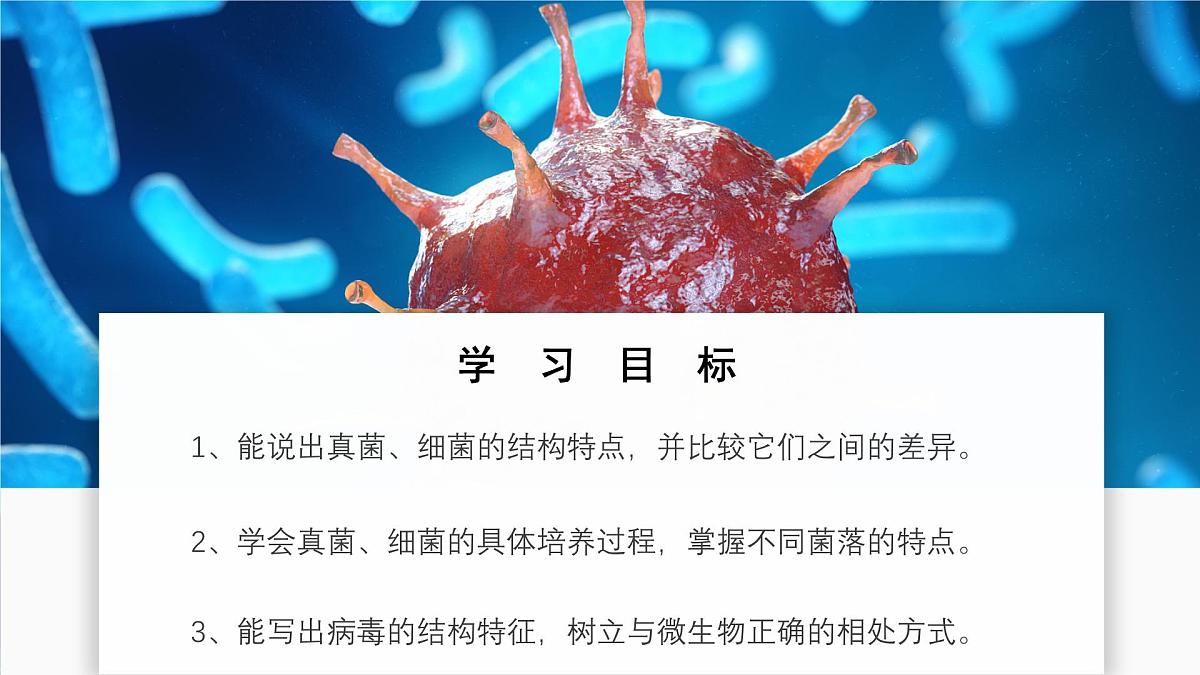 苏教版生物(2024)七年级上册 2.5.1 真菌、细菌和病毒 课件第2页