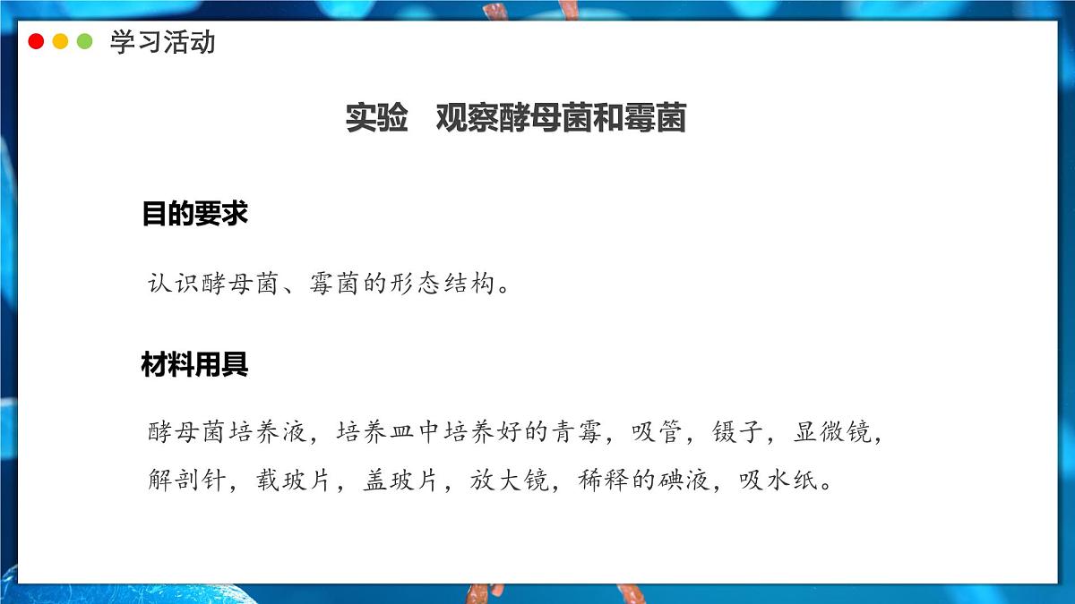 苏教版生物(2024)七年级上册 2.5.1 真菌、细菌和病毒 课件第8页