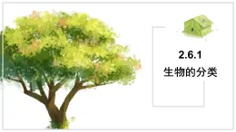 蘇教版生物（2024）七年級上冊 2.6.1 生物的分類 課件