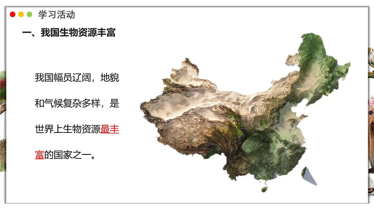 苏教版生物(2024)七年级上册 2.6.2 生物的多样性 课件第4页