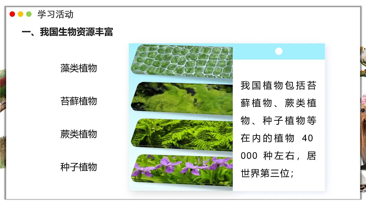 苏教版生物(2024)七年级上册 2.6.2 生物的多样性 课件第6页