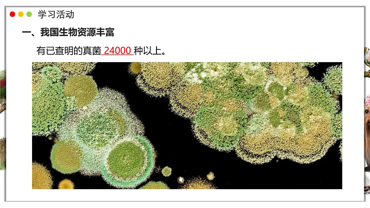 苏教版生物(2024)七年级上册 2.6.2 生物的多样性 课件第7页