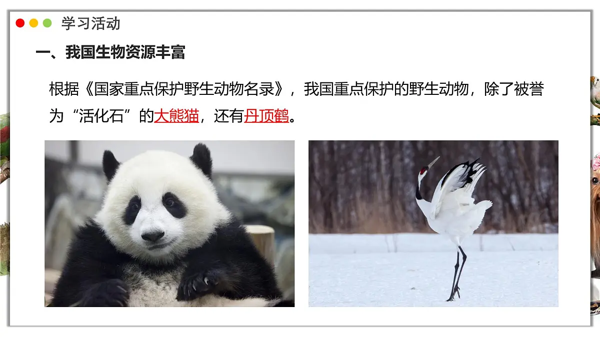 苏教版生物(2024)七年级上册 2.6.2 生物的多样性 课件第8页
