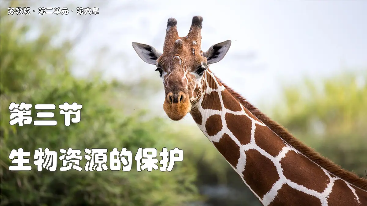 苏教版生物(2024)七年级上册 2.6.3 生物资源的保护 课件第1页