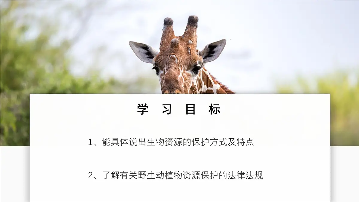 苏教版生物(2024)七年级上册 2.6.3 生物资源的保护 课件第2页