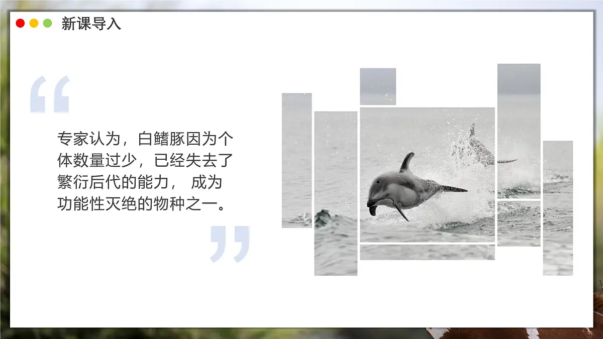苏教版生物(2024)七年级上册 2.6.3 生物资源的保护 课件第3页