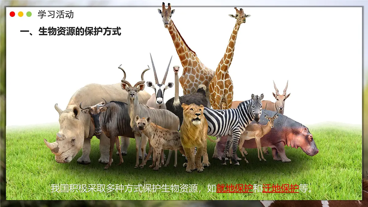 苏教版生物(2024)七年级上册 2.6.3 生物资源的保护 课件第6页