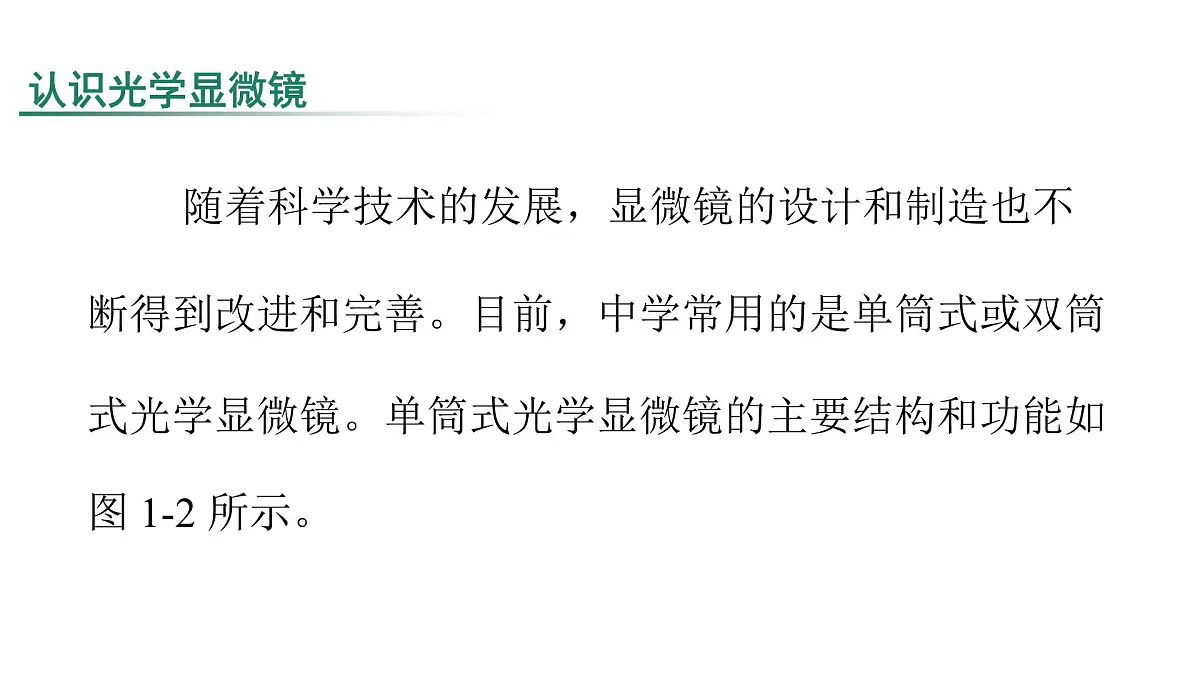 苏教版(2024)生物七年级上册 1.1.1 走进生物学实验室 (课件)第5页