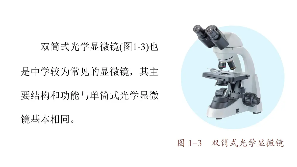 苏教版(2024)生物七年级上册 1.1.1 走进生物学实验室 (课件)第7页