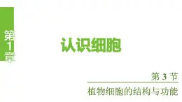 蘇教版（2024）生物七年級上冊 1.1.3 植物細胞的結(jié)構(gòu)與功能 （課件）