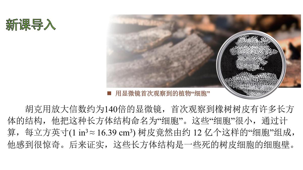 苏教版(2024)生物七年级上册 1.1.3 植物细胞的结构与功能 (课件)第3页
