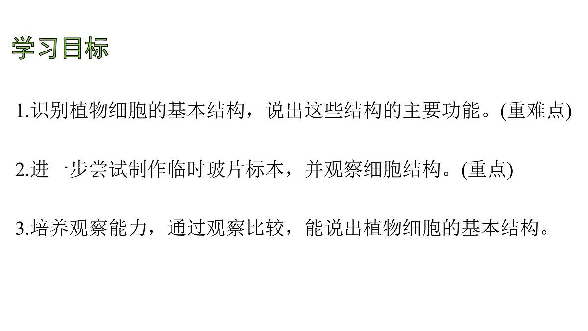 苏教版(2024)生物七年级上册 1.1.3 植物细胞的结构与功能 (课件)第4页