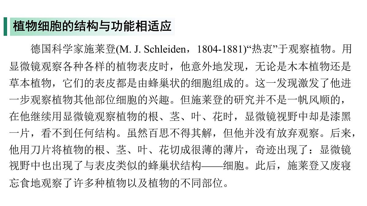 苏教版(2024)生物七年级上册 1.1.3 植物细胞的结构与功能 (课件)第5页