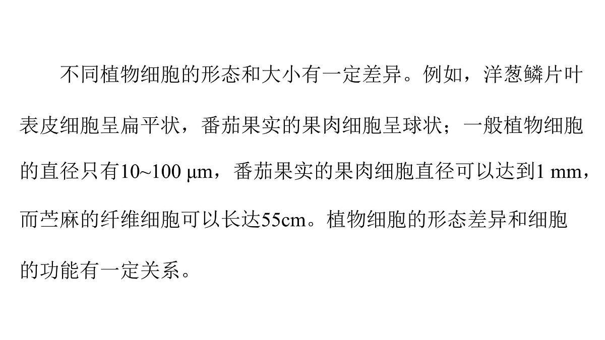 苏教版(2024)生物七年级上册 1.1.3 植物细胞的结构与功能 (课件)第8页
