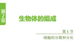 蘇教版（2024）生物七年級上冊 1.2.1 細胞的分裂和分化 （課件）