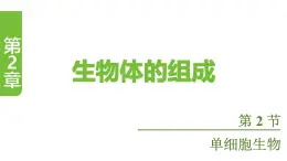 蘇教版（2024）生物七年級上冊 1.2.2 單細胞生物 （課件）