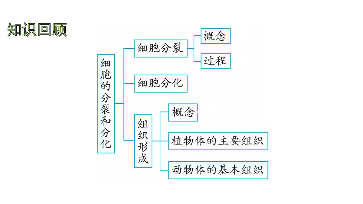 苏教版(2024)生物七年级上册 1.2.2 单细胞生物 (课件)第2页