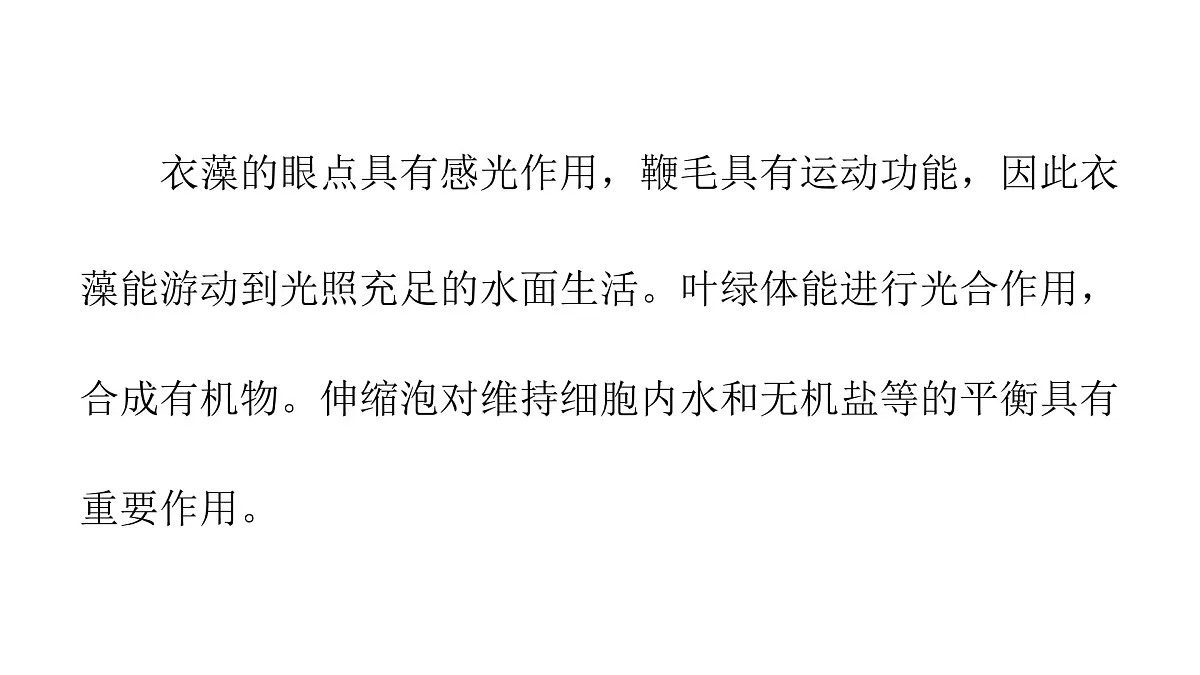 苏教版(2024)生物七年级上册 1.2.2 单细胞生物 (课件)第7页