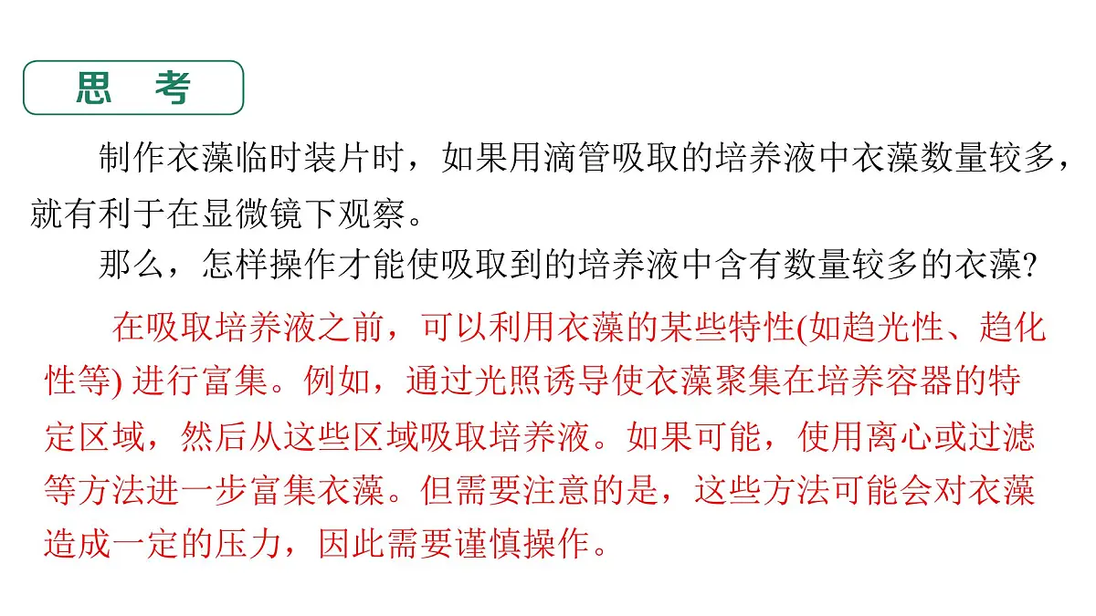 苏教版(2024)生物七年级上册 1.2.2 单细胞生物 (课件)第8页