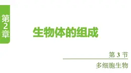 蘇教版（2024）生物七年級上冊 1.2.3 多細胞生物 （課件）