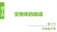 苏教版(2024)七年级上册(2024)多细胞生物课堂教学课件ppt