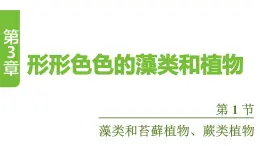 蘇教版（2024）生物七年級上冊 2.3.1  藻類和苔蘚植物、蕨類植物 （課件）