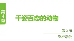 蘇教版（2024）生物七年級上冊 2.4.2 脊椎動物 （課件）