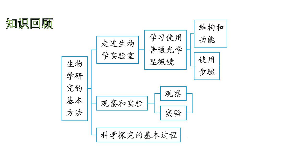 苏科版(2024)生物七年级上册 2.2.1 生物生存依赖一定的环境 (课件)第2页