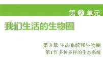 苏科版(2024)七年级上册(2024)多种多样的生态系统授课课件ppt