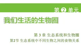 蘇科版（2024）生物七年級(jí)上冊(cè) 2.3.2 生態(tài)系統(tǒng)中不同生物之間的食物關(guān)系 （課件）