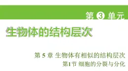 蘇科版（2024）生物七年級(jí)上冊(cè) 3.5.1 細(xì)胞的分裂與分化 （課件）