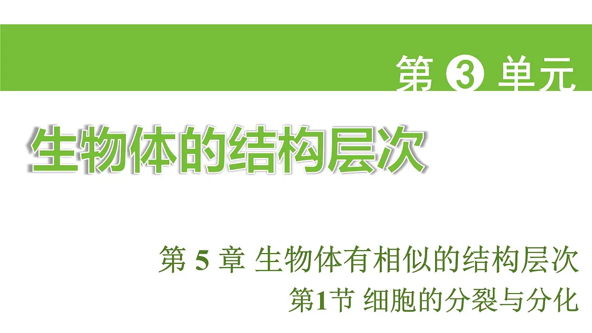 苏科版(2024)生物七年级上册 3.5.1 细胞的分裂与分化 (课件)第1页