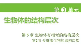 蘇科版（2024）生物七年級(jí)上冊(cè) 3.5.2 多細(xì)胞生物的結(jié)構(gòu)層次 （課件）