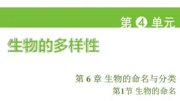 蘇科版（2024）生物七年級(jí)上冊(cè) 3.6.1 生物的命名 （課件）