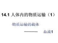第十四章 人體內(nèi)物質(zhì)的運(yùn)輸 第1節(jié) 血液 PPT課件
