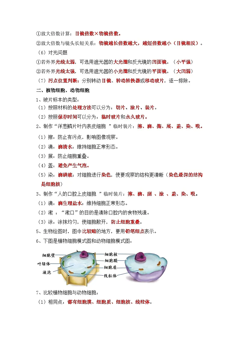 人教版(2024)七年级下册生物期末复习必背考点提纲 学案第3页