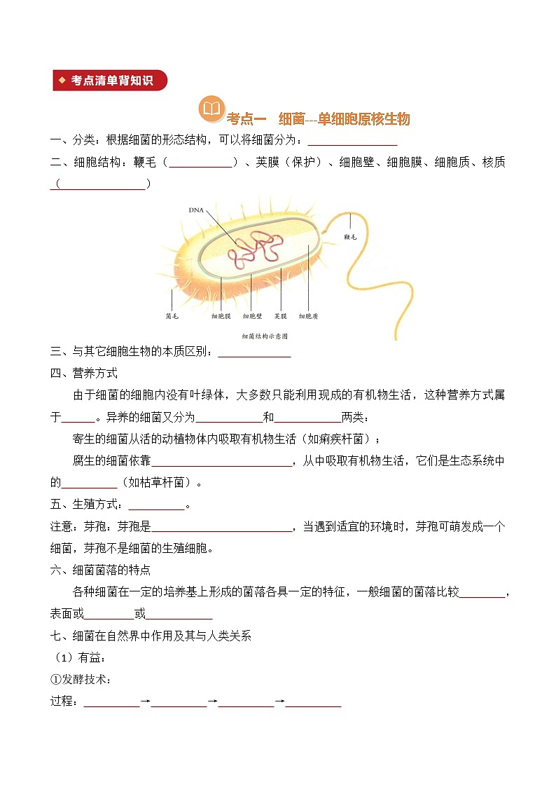 清单05 细菌、真菌和病毒(原版卷)第2页