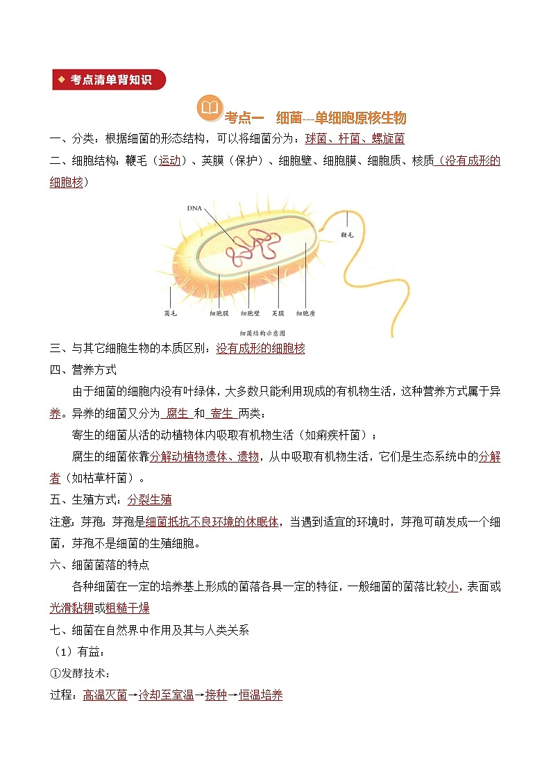 清单05 细菌、真菌和病毒(解析版)第2页