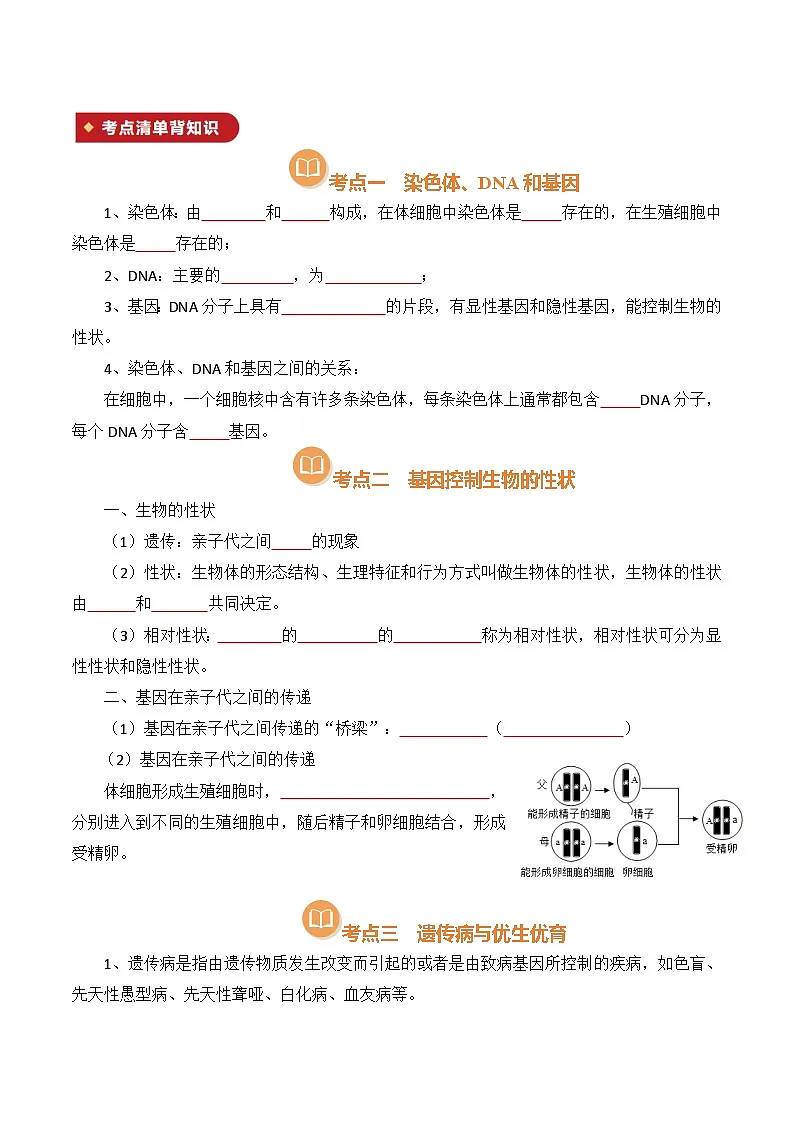 清单16 生物的遗传和变异(原版卷)第3页