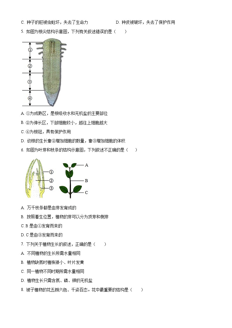 广东省河源市紫金县2024-2025学年七年级下学期期中生物试题第2页
