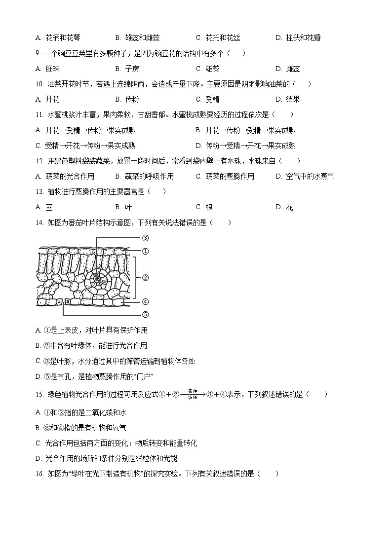 广东省河源市紫金县2024-2025学年七年级下学期期中生物试题第3页