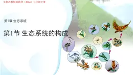 3.7.1生態(tài)系統(tǒng)的構(gòu)成 課件 生物蘇教版（2024）七年級(jí)下冊(cè)第3單元