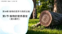 4.10.1植物的營養(yǎng)器官 第3課時(shí) 課件 生物蘇教版（2024）七年級(jí)下冊(cè)第4單元