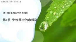 4.10.2 生物圈中的水循環(huán) 課件 生物蘇教版（2024）七年級(jí)下冊(cè)第4單元