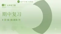 七年级下册生物苏教版期中复习（第7章~第9章）课件 生物苏教版（2024）七年级下册