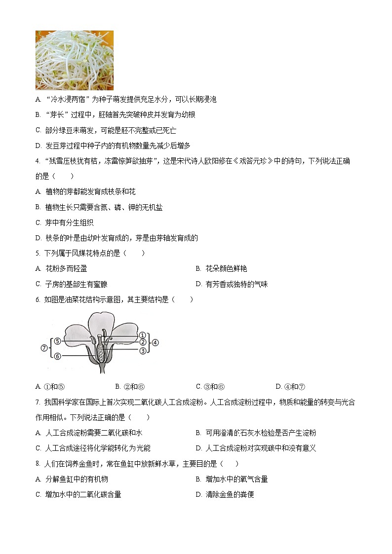 辽宁省大连市金普新区2024-2025学年七年级下学期期中考生物试题第2页